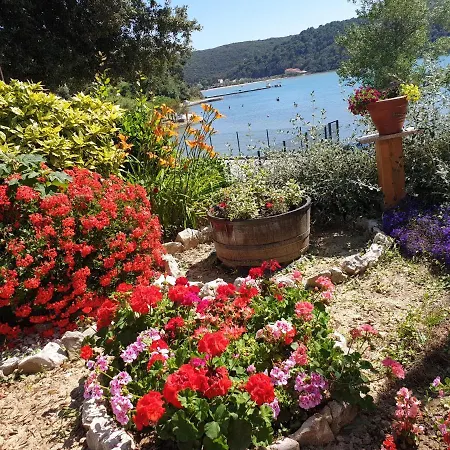 I Sobe Jusic アパート *