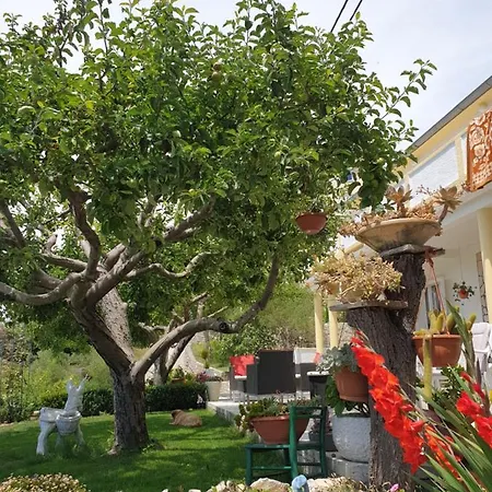 I Sobe Jusic Rab Town