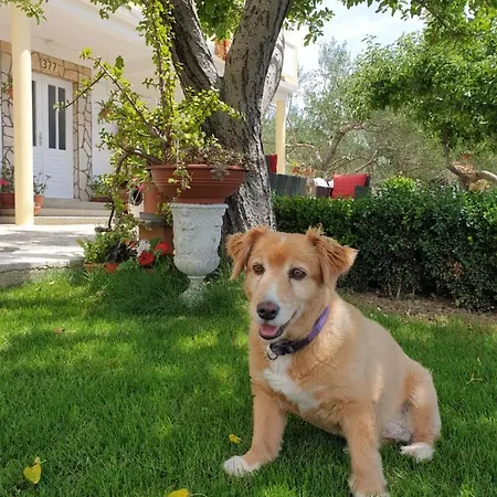 Apartment I Sobe Jusic